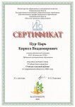 Сертификат-усш.