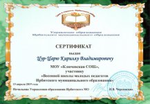 сертификат-школа педагогов.