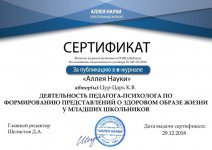 сертификат аллея науки.